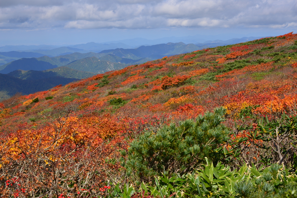 山、そして紅葉
