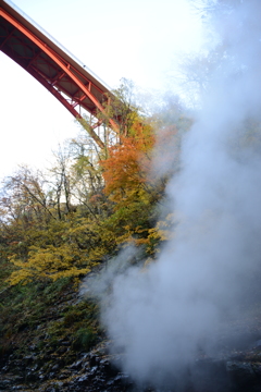 橋の下の紅葉