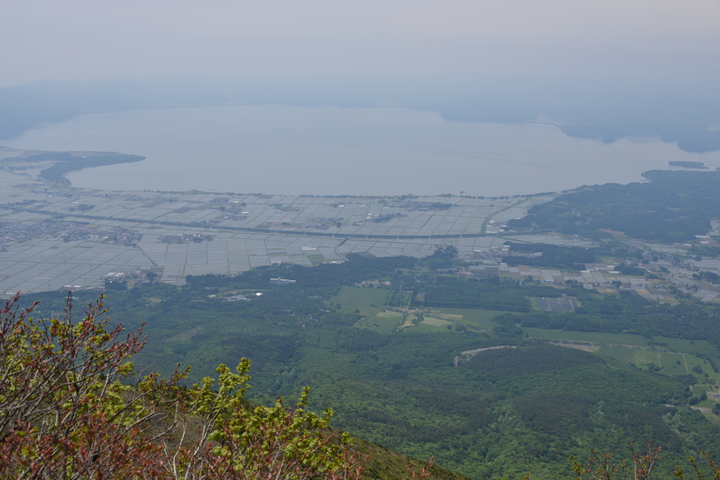 猪苗代湖と水田