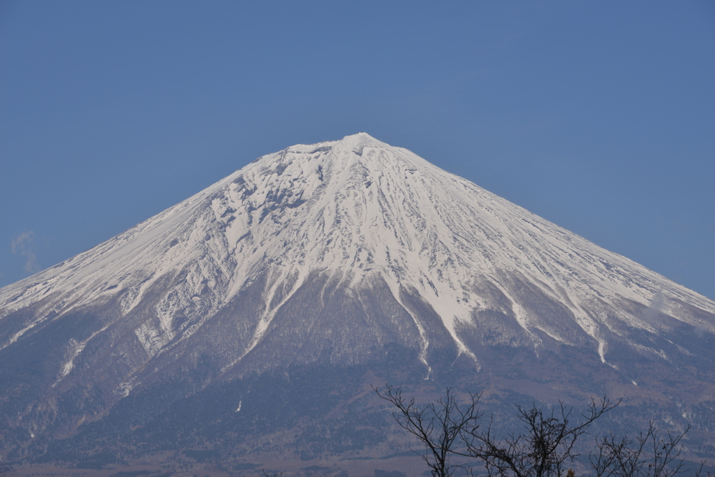 春の富士山