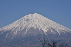 春の富士山