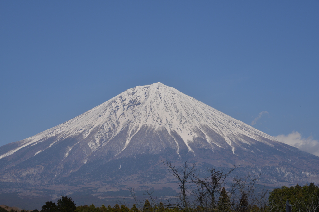富士山