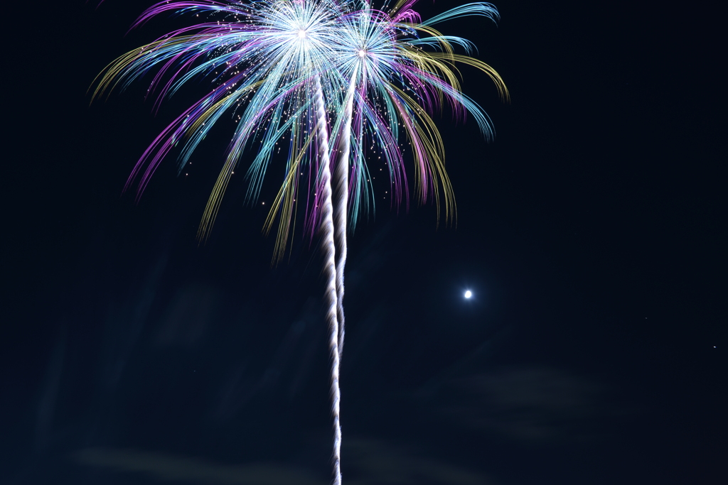 夜に咲く二輪の花