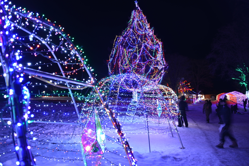 ウィンターイルミネーション