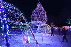 ウィンターイルミネーション