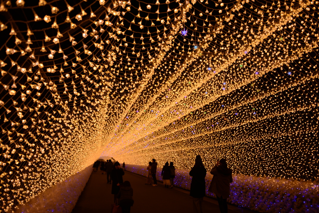 秋のイルミネーションアーチ1