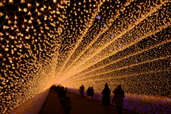 秋のイルミネーションアーチ1