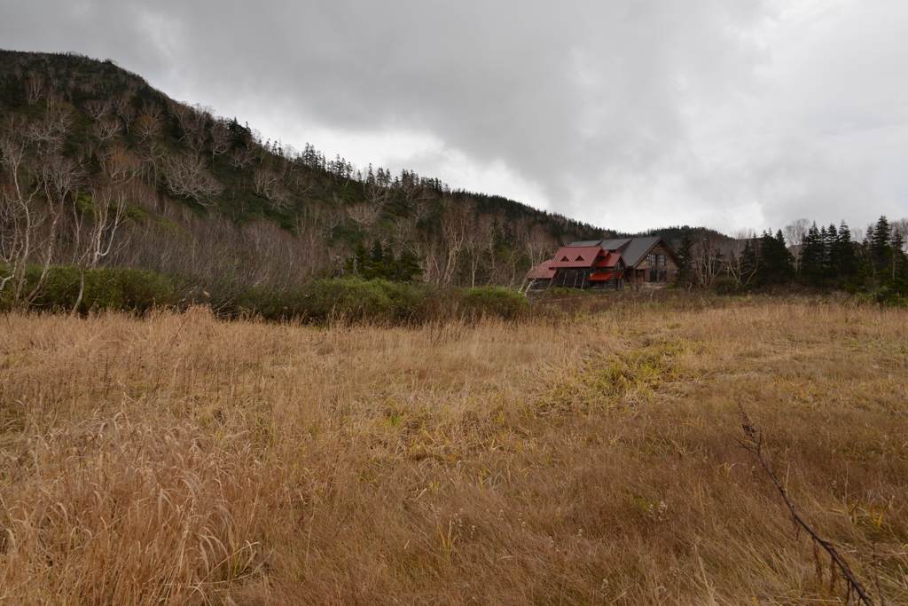 栂池自然園にて。
