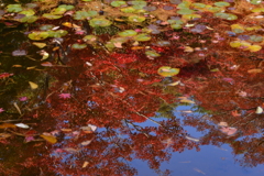 リフレクション2