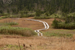 ひっそり存在する道