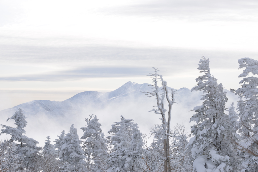 白い峰