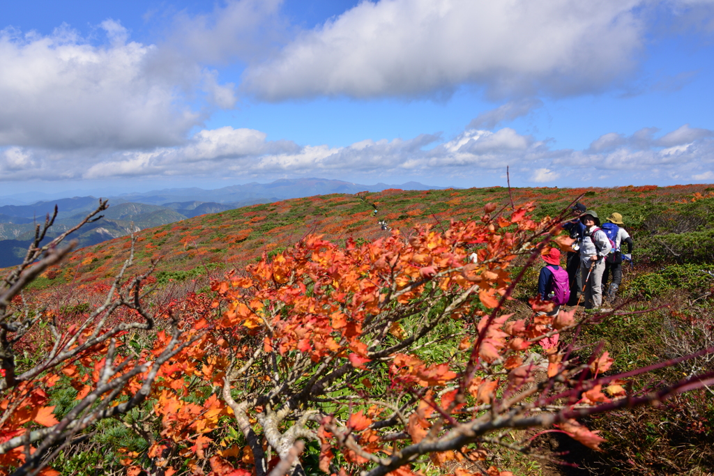 紅葉狩りの一時