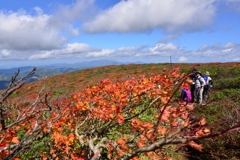 紅葉狩りの一時