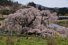 背面から望む。
