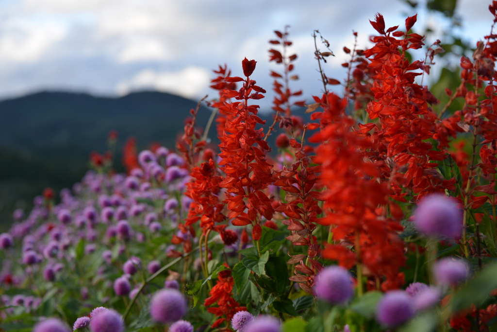 風景の切り取り1。