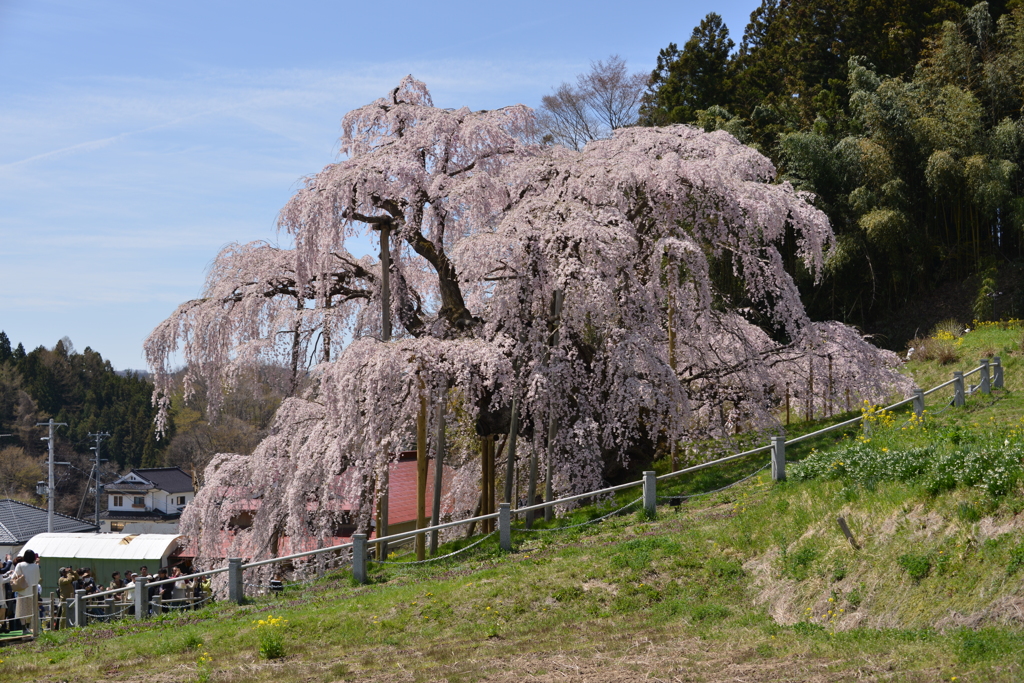 違った角度から。