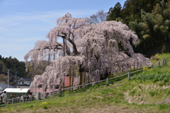 違った角度から。