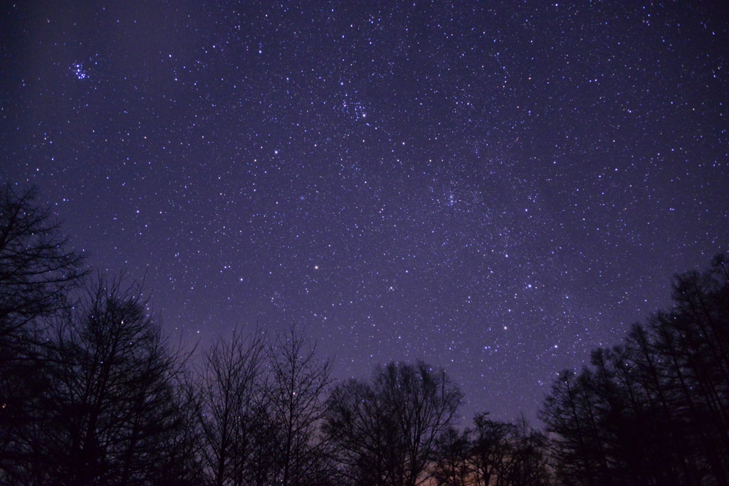 プレアデス星団（左上）