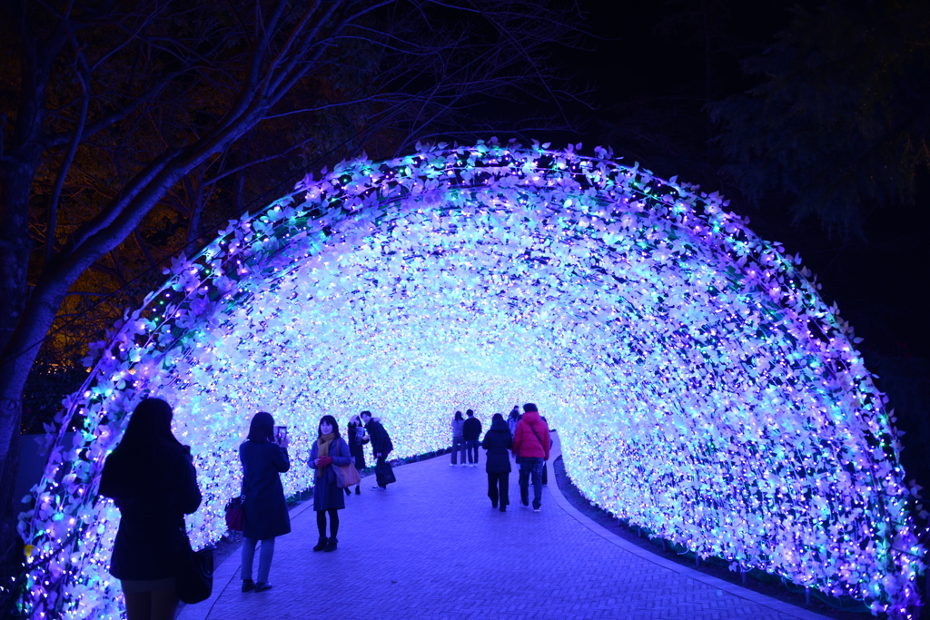 冬のイルミネーションアーチ