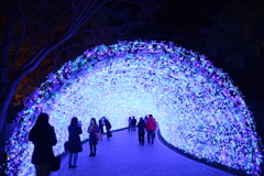 冬のイルミネーションアーチ