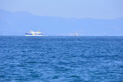 フェリーとヨット