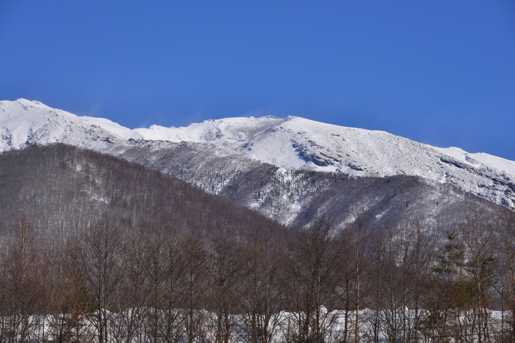 岩手山山頂方面の展望