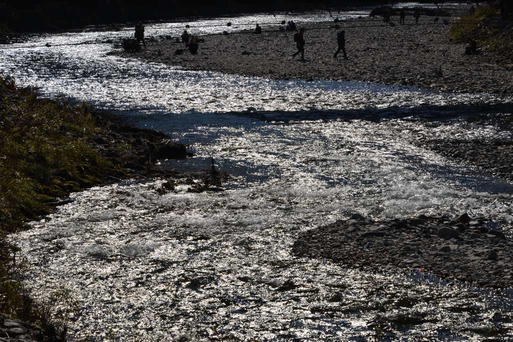 輝く川