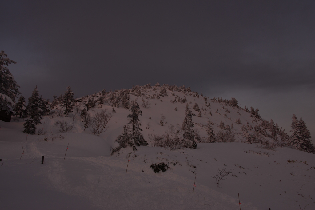 薄いアーベントロート