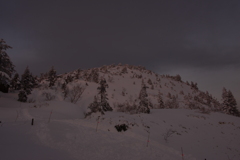 薄いアーベントロート