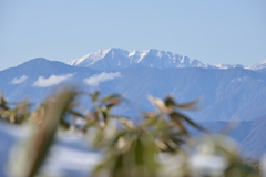 南アルプスの風景2