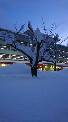 雪の止み間
