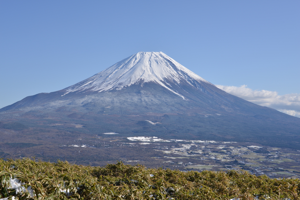 富士山と笹
