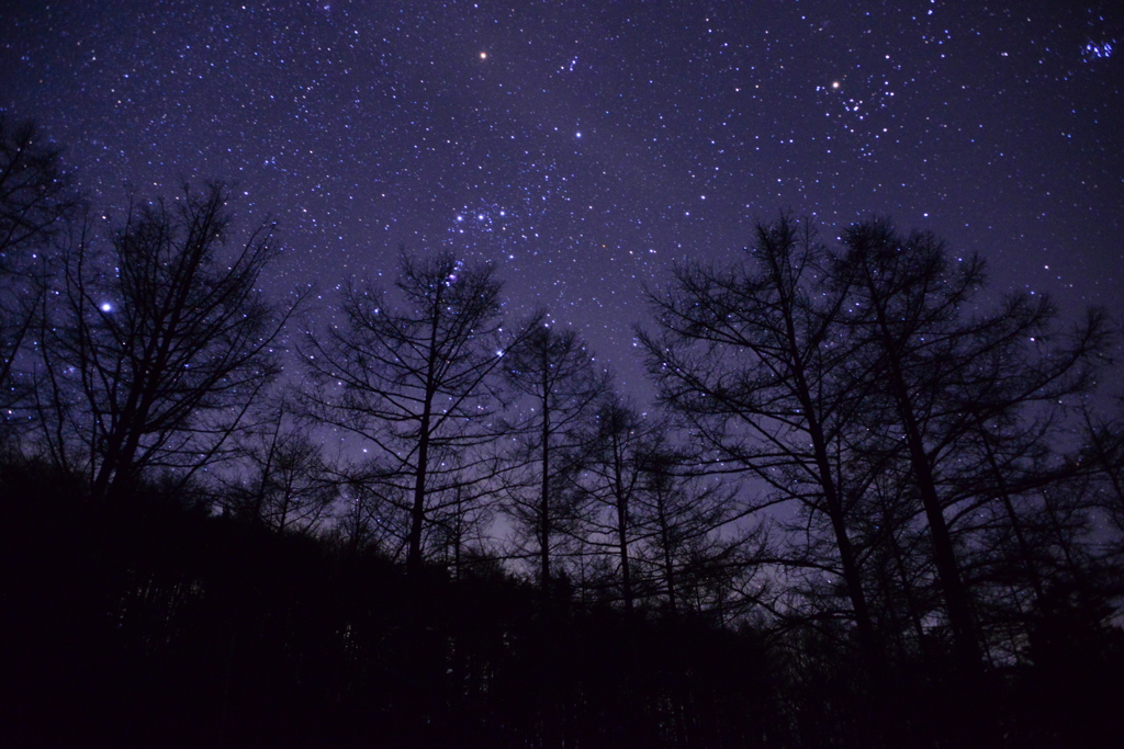 オリオン座のある風景