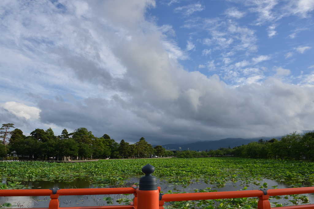 梅雨の晴れ間