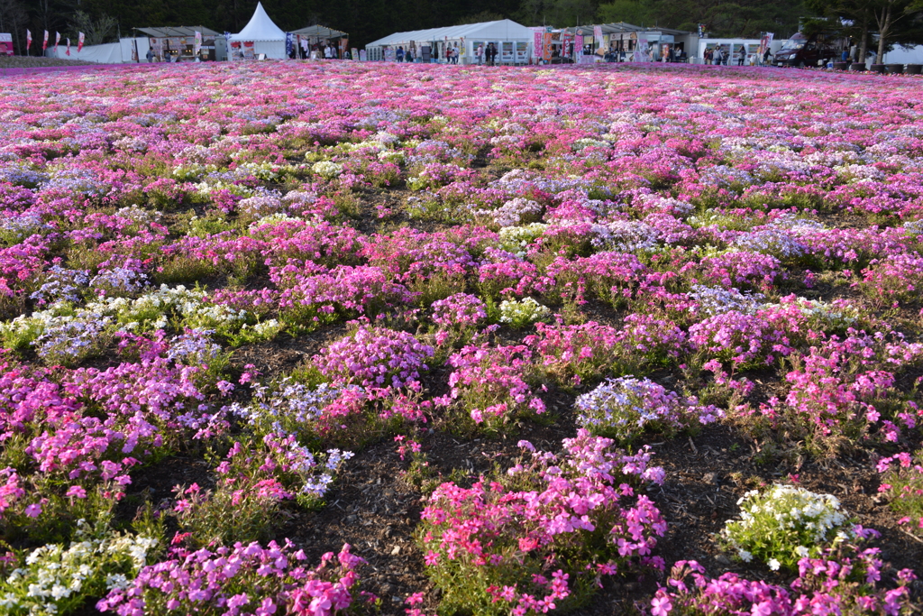 カラフルな風景