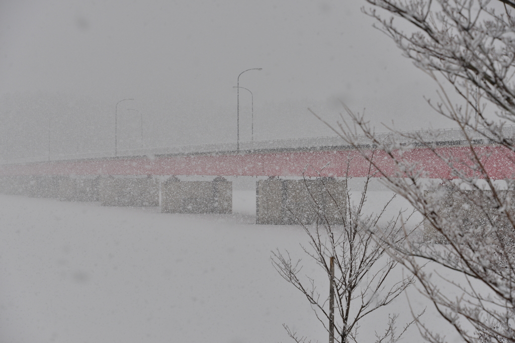 湖面にしんしんと降る雪