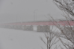 湖面にしんしんと降る雪