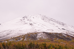紅葉と富士山