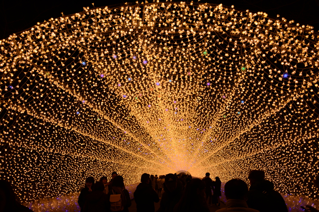 秋のイルミネーションアーチ2