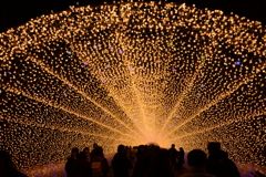 秋のイルミネーションアーチ2