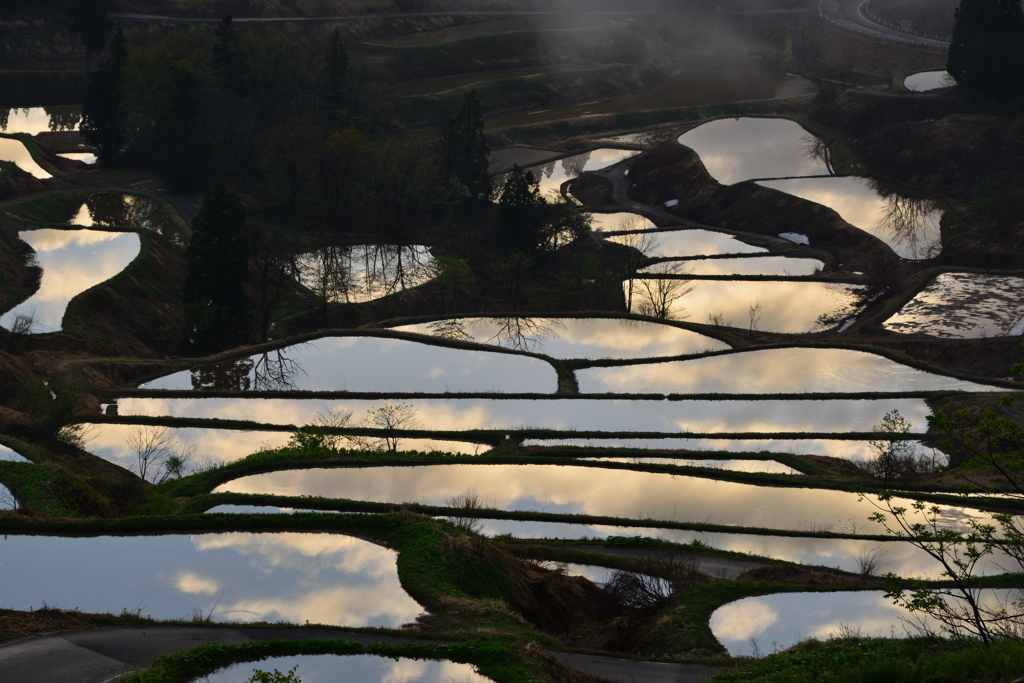 棚田の水鏡