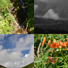 昨年の夏の一時