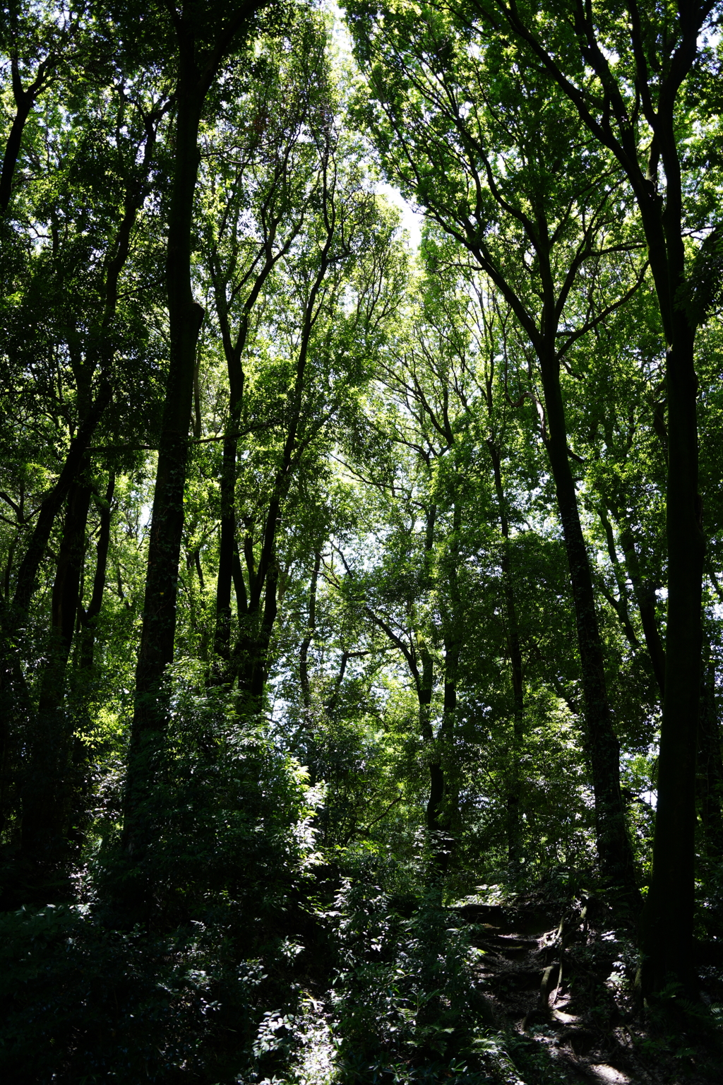 群馬の森