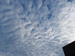 空