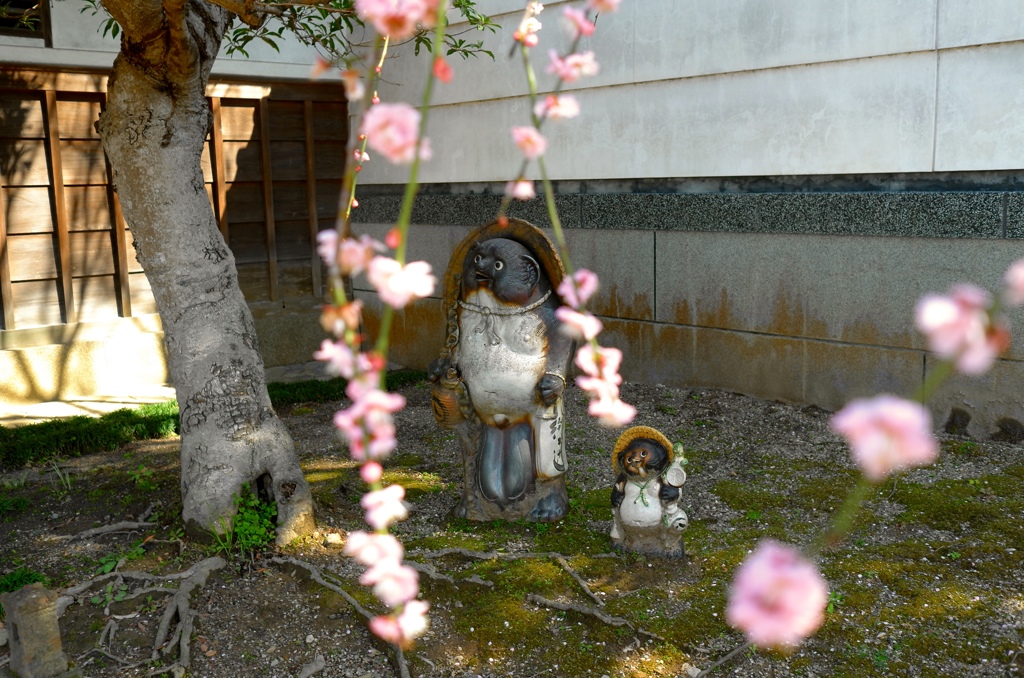 親子でお花見