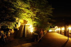 夜の遊歩道