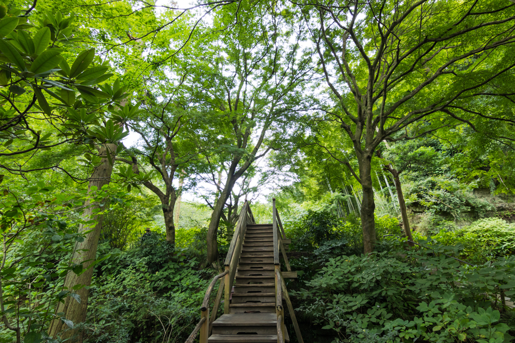 明月院