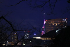 夜景