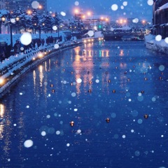 小樽運河 雪あかりの路