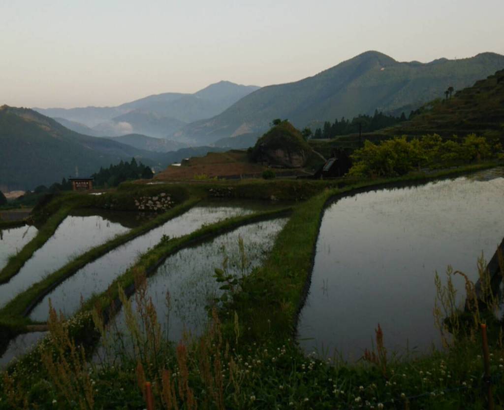 丸山千枚田